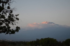 Kilimanjaro at sunset.